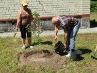 Земляцька толока у Пирогові (P5121300.JPG)