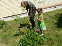 Земляцька толока у Пирогові (P5121305.JPG)